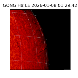 gong - 2026-01-08T01:29:42