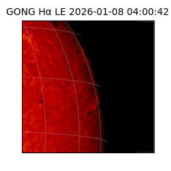 gong - 2026-01-08T04:00:42
