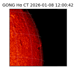 gong - 2026-01-08T12:00:42