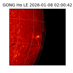 gong - 2026-01-08T02:00:42