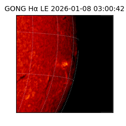 gong - 2026-01-08T03:00:42