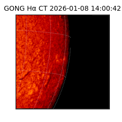 gong - 2026-01-08T14:00:42