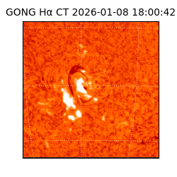 gong - 2026-01-08T18:00:42