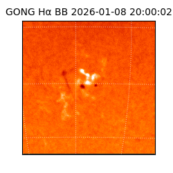 gong - 2026-01-08T20:00:02