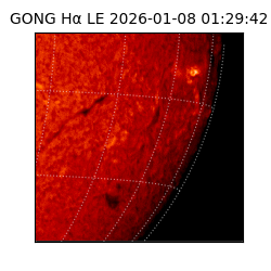 gong - 2026-01-08T01:29:42