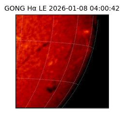 gong - 2026-01-08T04:00:42