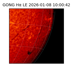 gong - 2026-01-08T10:00:42