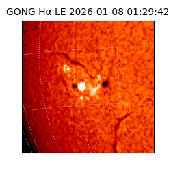 gong - 2026-01-08T01:29:42