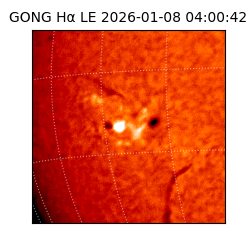gong - 2026-01-08T04:00:42