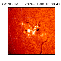 gong - 2026-01-08T10:00:42