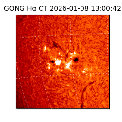 gong - 2026-01-08T13:00:42