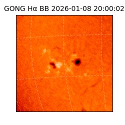 gong - 2026-01-08T20:00:02