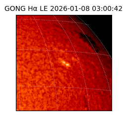 gong - 2026-01-08T03:00:42