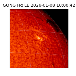 gong - 2026-01-08T10:00:42