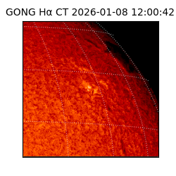 gong - 2026-01-08T12:00:42