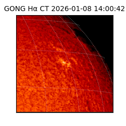 gong - 2026-01-08T14:00:42