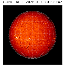 gong - 2026-01-08T01:29:42