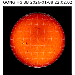 gong - 2026-01-08T22:02:02