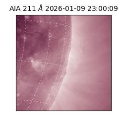 saia - 2026-01-09T23:00:09.630000