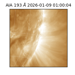 saia - 2026-01-09T01:00:04.843000