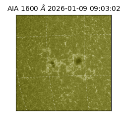 saia - 2026-01-09T09:03:02.130000