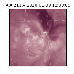 saia - 2026-01-09T12:00:09.630000