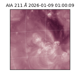 saia - 2026-01-09T01:00:09.630000