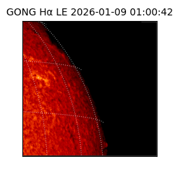 gong - 2026-01-09T01:00:42