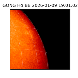 gong - 2026-01-09T19:01:02