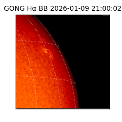 gong - 2026-01-09T21:00:02