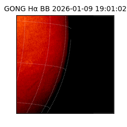 gong - 2026-01-09T19:01:02