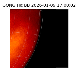 gong - 2026-01-09T17:00:02