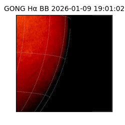 gong - 2026-01-09T19:01:02