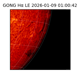 gong - 2026-01-09T01:00:42