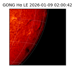 gong - 2026-01-09T02:00:42