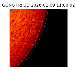 gong - 2026-01-09T11:00:02