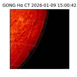 gong - 2026-01-09T15:00:42