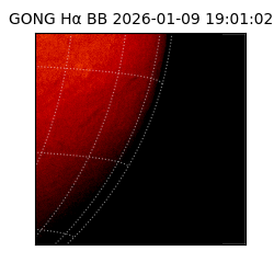 gong - 2026-01-09T19:01:02