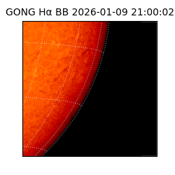 gong - 2026-01-09T21:00:02