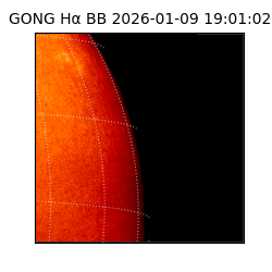 gong - 2026-01-09T19:01:02