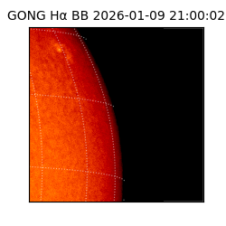 gong - 2026-01-09T21:00:02