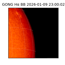 gong - 2026-01-09T23:00:02