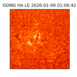 gong - 2026-01-09T01:00:42