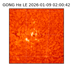 gong - 2026-01-09T02:00:42