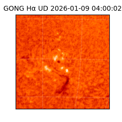 gong - 2026-01-09T04:00:02