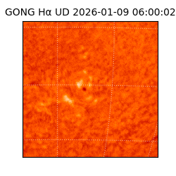 gong - 2026-01-09T06:00:02