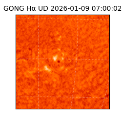 gong - 2026-01-09T07:00:02