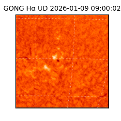 gong - 2026-01-09T09:00:02