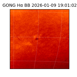 gong - 2026-01-09T19:01:02