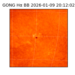 gong - 2026-01-09T20:12:02